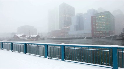 Hunger Relief and Mutual Aid Groups You Can Support to Help Texans During Weather Crisis