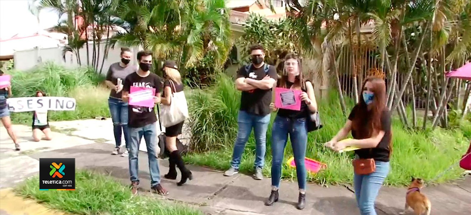 tn7-Defensores-de-animales-pedirán-dos-años-d...