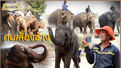 นิยายชีวิต | ชาวช้างตกงานดิ้นสู้ให้อยู่รอด จัดแสดงไลฟ์สดเลี้ยงชีพ | Dailynews