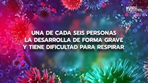 Las Noticias con Alberto Vega: Aplicarán pruebas gratis de antígenos en farmacias y centros comerciales de la CDMX