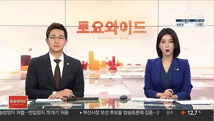 文대통령, 與 지도부에 한일관계 정상화 지원 당부
