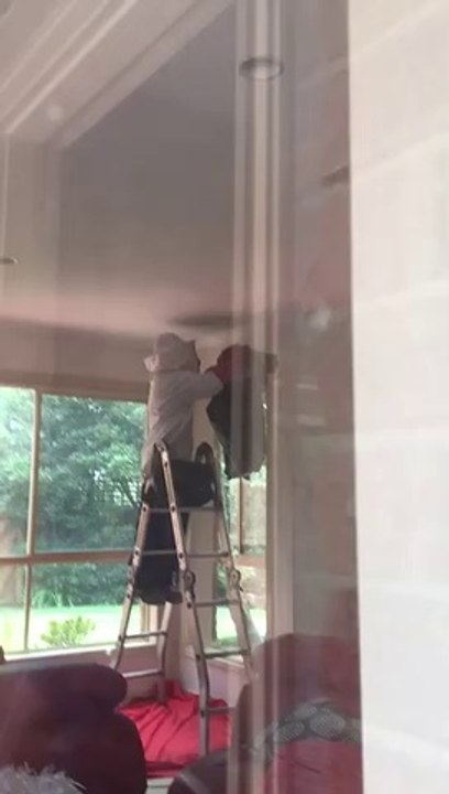 Massive Wasp Nest Removal from inside the House – Protech Pest Control