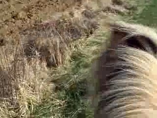 Pilou trot narcos ctt