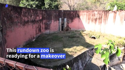 Pakistan zoo set for mammoth makeover after lonely elephant's departure