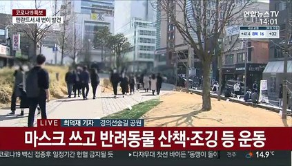거리두기 완화·따듯한 날씨…주말 즐기는 시민들