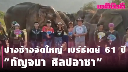 ของขวัญวันเกิดที่ถูกใจ ปางช้างจัดให้ เบิร์ธ์เดย์ 61 ปี "หนูนา-กัญจนา ศิลปอาชา" | Dailynews