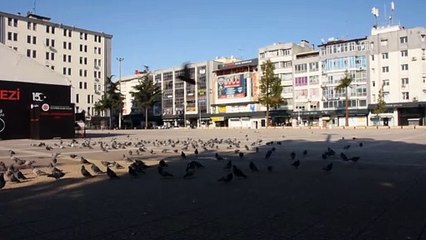 SAMSUN - Sokağa çıkma kısıtlamasına uyuluyor