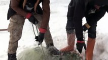 AĞRI - Köylülerin buzla kaplı 2 bin 241 rakımlı gölde zorlu balık avı