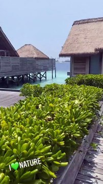 Cathy Guetta s'est offert des vacances aux Maldives en famille.