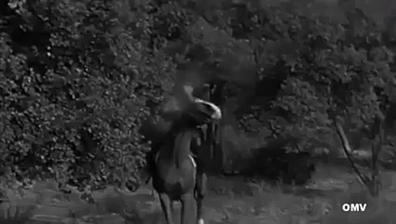 The Life and Legend of Wyatt Earp S01E20 A Wise Calf