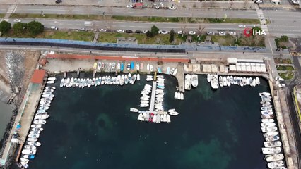 İşte herkesin merak ettiği o deniz salyaları.. Denize atılan ağlar balık yerine salya ile taştı