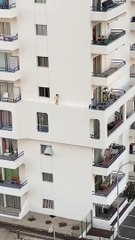 Les images donnent le vertige