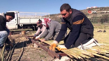 Yılda 500 ton kargı işliyorlar