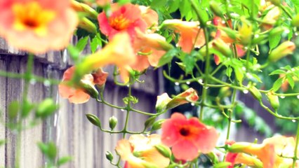 감성적인 비오는날의 하루♥(with아멜리앤)