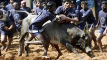 Tamil Nadu CM EPS withdaws 308 cases against Jallikattu protesters