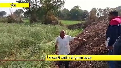 सरसों के खेत को उजाड़कर मुक्त कराई जमीन