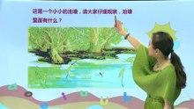 13古诗两首·小池|小学语文课文|一年级下