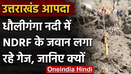 Uttarakhand Glacier Burst: Dhauliganga River में NDRF के जवान लगा रहे गेज, देखिए | वनइंडिया हिंदी