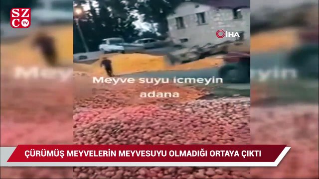Çürümüş meyvelerin meyve suyu olmadığı ortaya çıktı