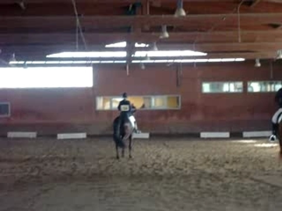 Dressage Vedene