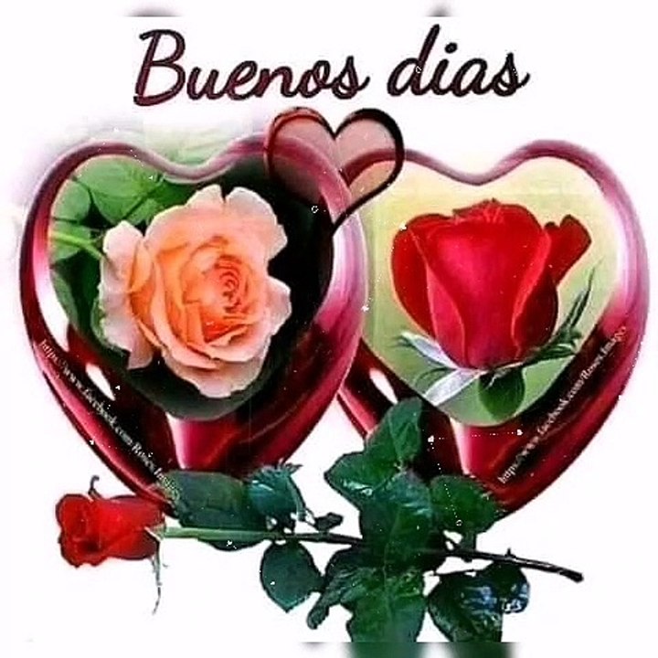 Buenos Día