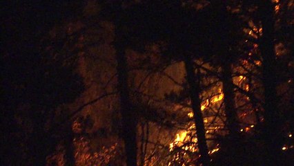 정선 산불 진화율 60％...11만㎡ 잿더미 / YTN