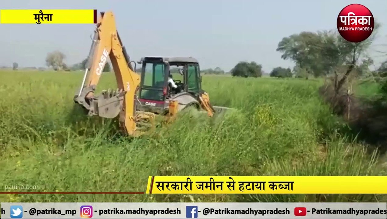 video story: सरसों का खेत उजाड़कर मुक्त कराई कब...