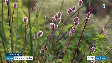 Météo : les Français tentés par un retour au jardin