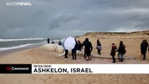 Ashkelon: Kadaver von 17-Meter-Wal an Strand gespült