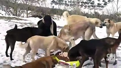 Sokakta yaşayan can dostlarımıza uzanan eller