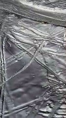 Doggo Doesn't Want to Stop Rolling in the Snow