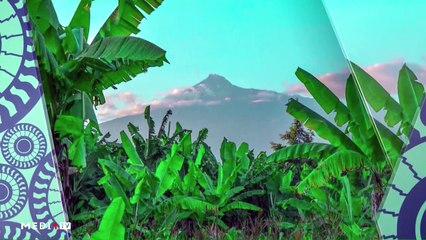 Zoom sur les "Tolou Keur" ou forêts nourricières et médicinales - 20/02/2021