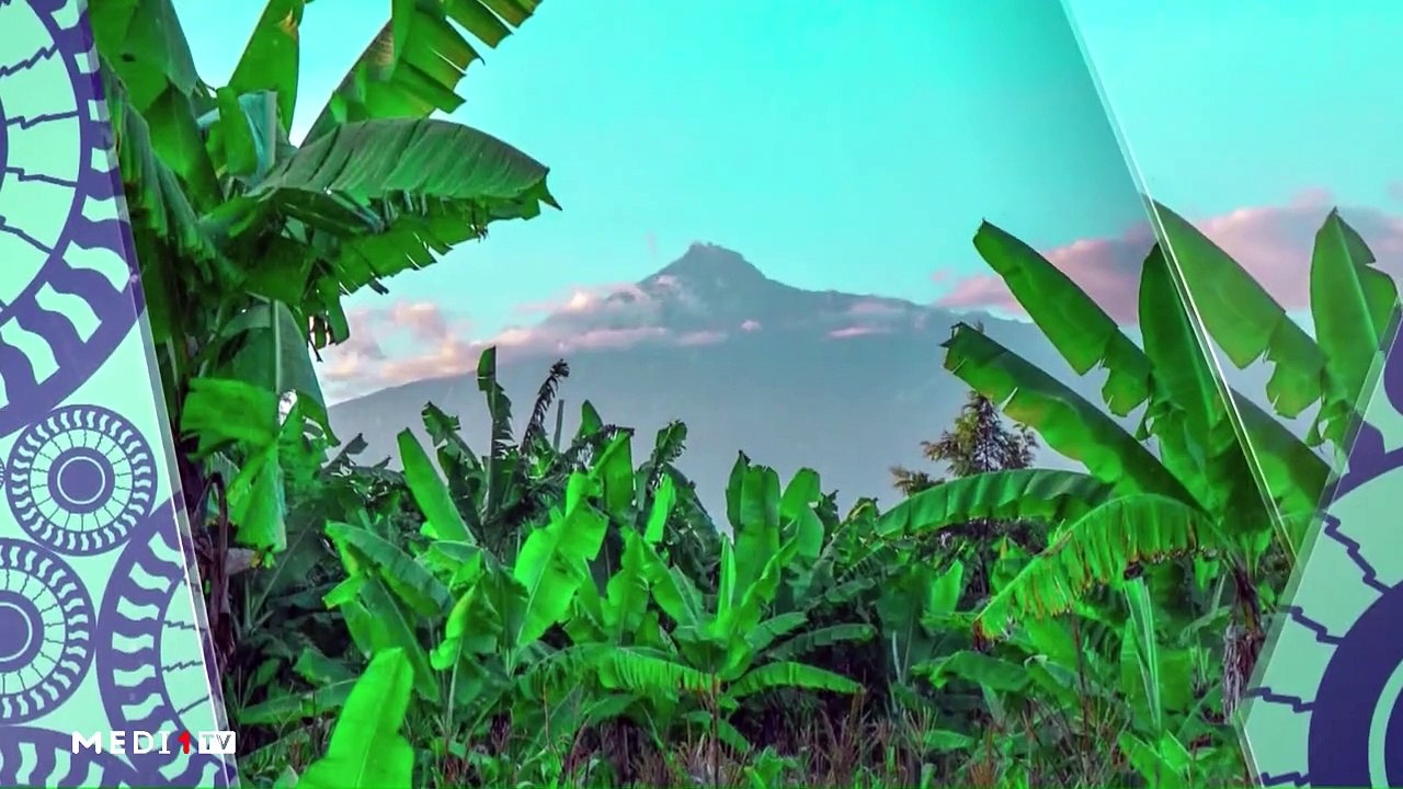 Zoom sur les "Tolou Keur" ou forêts nourricières et médicinales - 20/02/2021