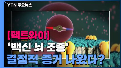 [팩트와이] '백신 뇌 조종' 결정적 증거 나왔다? / YTN