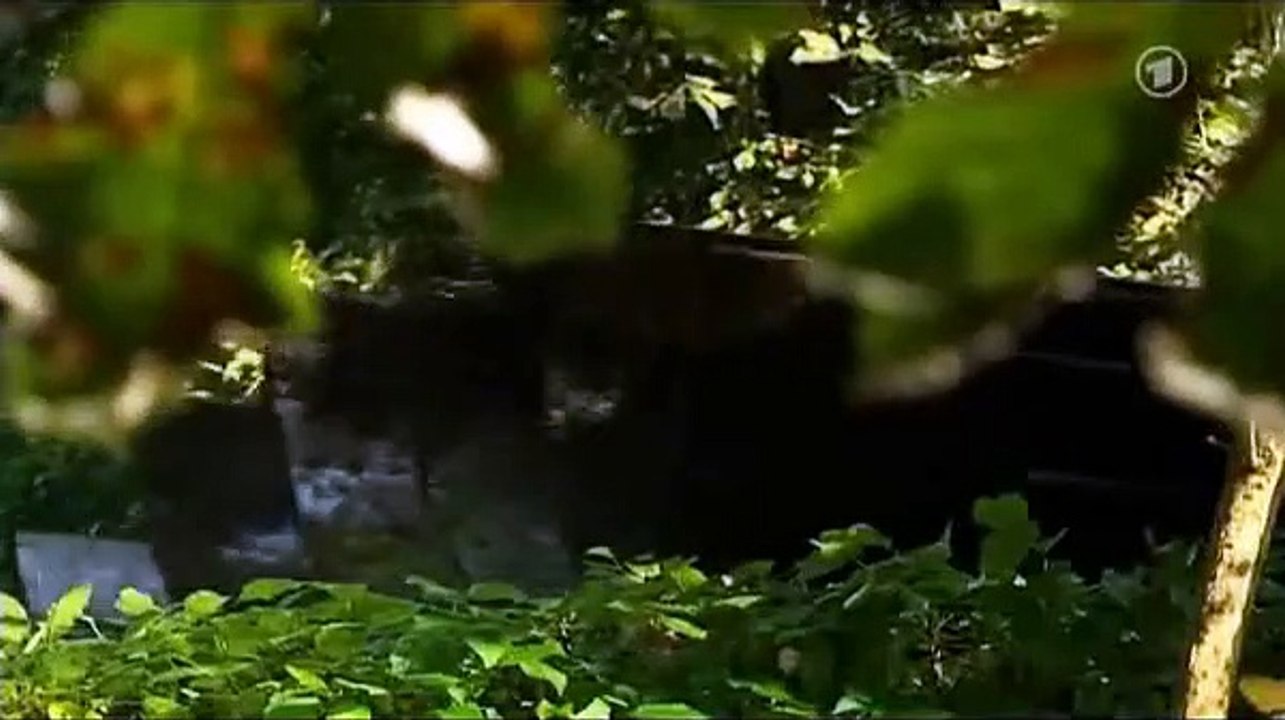 Sturm der Liebe, Folge 727 5/5