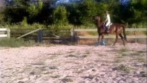 Bella's introduction to uneven trot poles