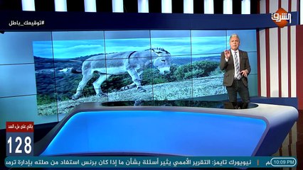 مقالة مثيرة للجدل للمتحدث الرسمي للقوات المسلحة  .. معتز مطر: من يقصد بالحمـ ـ ـار ؟!!