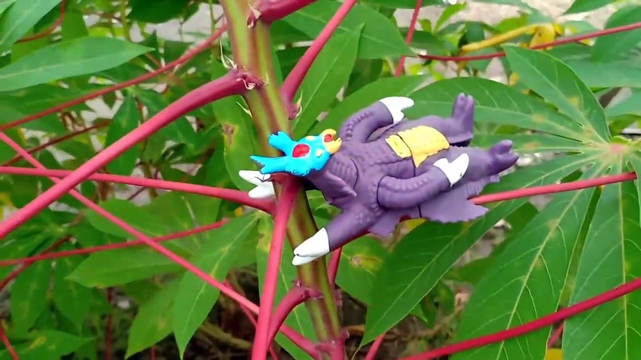 Searching for Ultraman Ginga's Toy Ultraman Ginga Victory Ultraman Zero Tobot