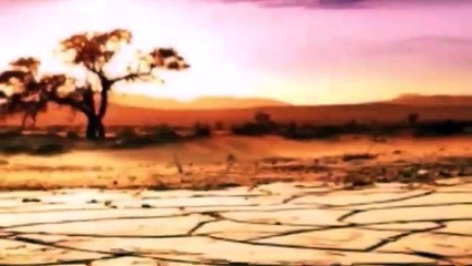 Paul Lawler /  Desert Drive