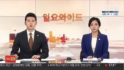 정선 산불 18시간 만에 진화…산림 12㏊ 소실 추정