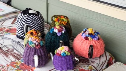 NSW woman keeps alive the art of creating tea cosy