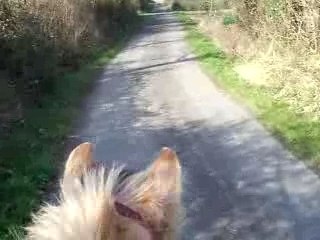 Pilou devan fin balade