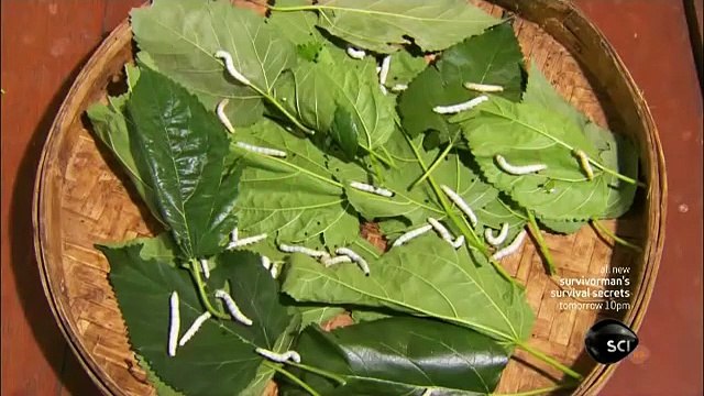 How Its Made - 1059 Silk