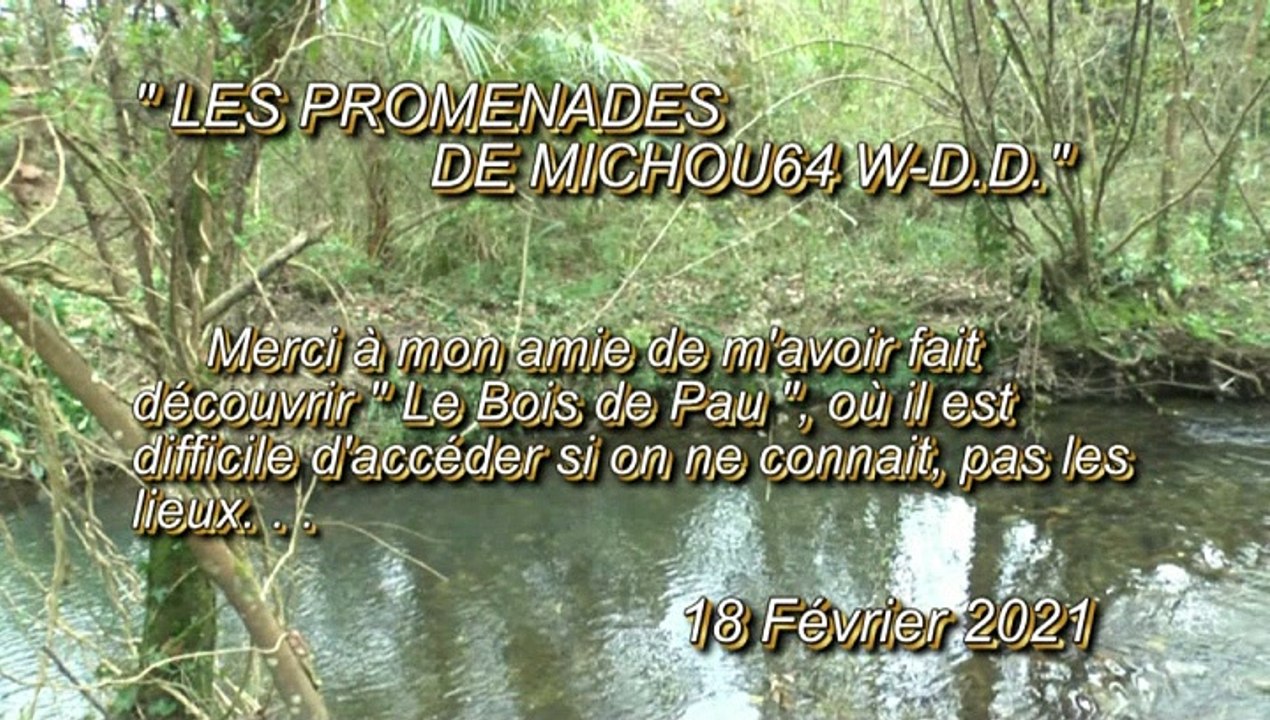 LES PROMENADES DE MICHOU64 W-D.D. - 18 FÉVRIER 2021 - PAU - PROMENONS NOUS DANS LE BOIS DE PAU