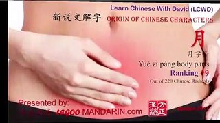 Origin of Chinese Characters - 2178 膝 xī  knee