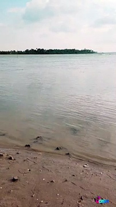 water fish