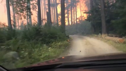 Nature Gone Wild: Wildfire