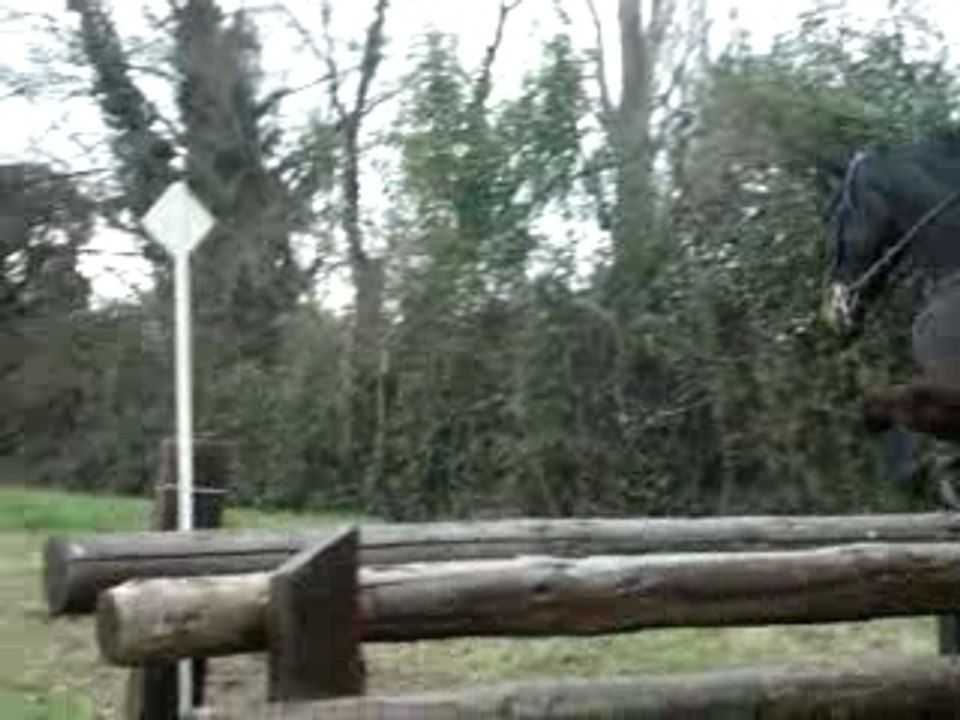 CCE Vedene Dimanche 24 Fevrier 2008