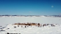 SAMSUN - (DRONE) Ladik Gölü'nün yüzeyi buzla kaplandı