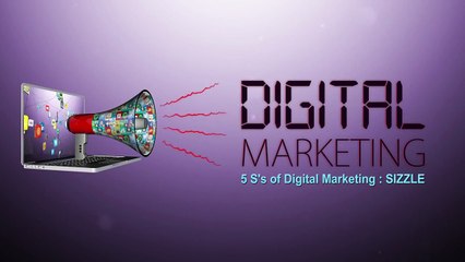 208 - Digital Marketing - 5 S of Marketing - Sizzling - DigiSkills